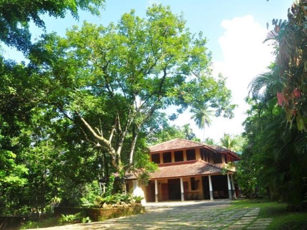 Nature Lovers Resort Ingiriya Dış mekan fotoğraf